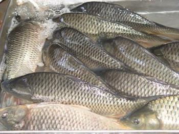 哪些东西不适合放冰箱里面