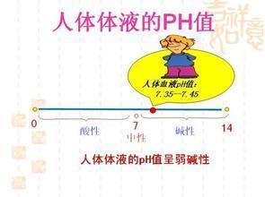 酸性体质的人群怎么吃才健康 酸性体质的人群怎么吃才健康