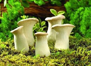 细数春季不宜吃的5类食物