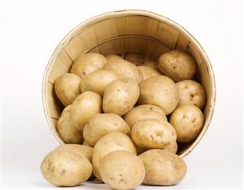 土豆的保健功效及饮食禁忌知多少