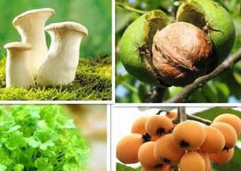 吃了会死人的 据说99.9%人都不知道