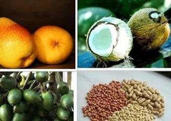 吃了会死人的 据说99.9%人都不知道