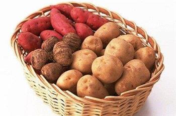 食用马铃薯的容易导致食物中毒