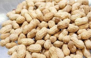 养生：花生有助预防结肠癌