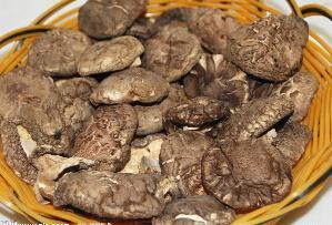 蘑菇种类真不少 营养价值更不同 蘑菇种类真不少 营养价值更不同