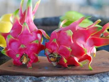 常吃火龙果可以带给大家什么好处 常吃火龙果可以带给大家什么好处