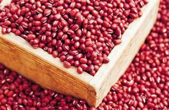 赤小豆能够治疗哪些病症呢？