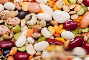 谷类食物到底能够提供哪些营养