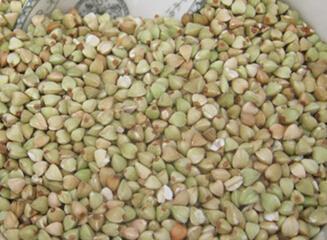 荞麦的保健优势与饮食禁忌