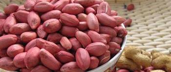 花生的五大食用兼药用功效 花生的五大食用兼药用功效