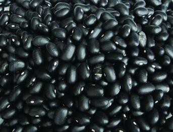 食材营养：黑豆的十大保健功效