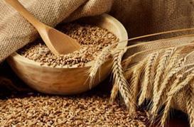 大麦和小麦的不同营养价值