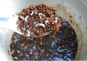 昆虫也营养 选择正确防病还治病