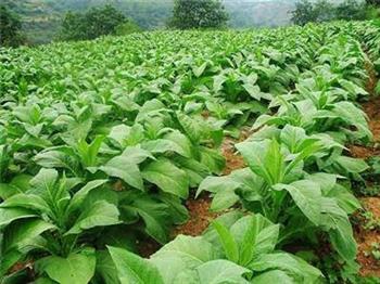 哪些情况可能会让你的心受伤害 哪些情况可能会让你的心受伤害