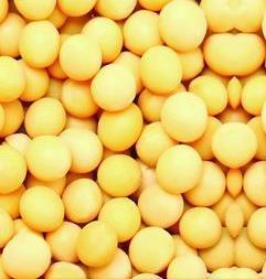 疾病预防 能防心脏病的8种食物