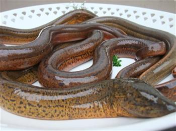 有助于调血糖的食物