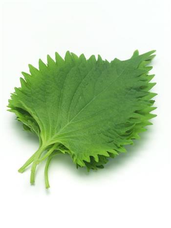 有助于调血糖的食物