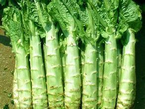 推荐适合肝血管瘤患者吃的2种食物 推荐适合肝血管瘤患者吃的2种食物