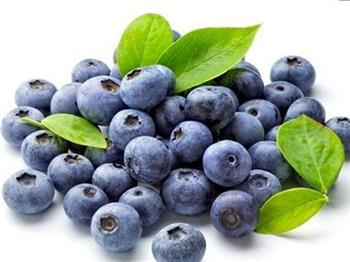 抗癌水果饮食 蓝莓果酱