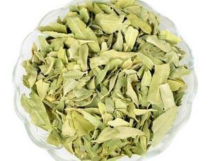 老年人高血压病的中医食疗 老年人高血压病的中医食疗