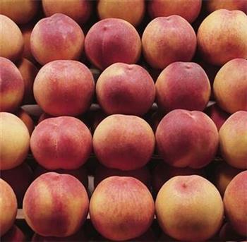 经期多吃哪些食物对身体有好处 经期多吃哪些食物对身体有好处