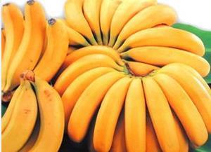 夏季饮食保健  香蕉的十大营养保健功效