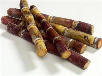 冬季如何护肺 十大护肺食物推荐