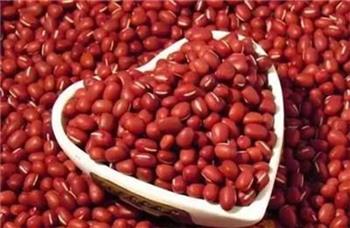 生活中应该要多吃这八种五谷杂粮 生活中应该要多吃这八种五谷杂粮