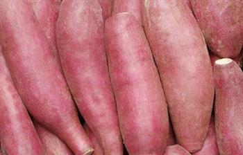 夏季排毒功能最强的20种食物