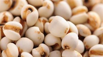 夏季排毒功能最强的20种食物