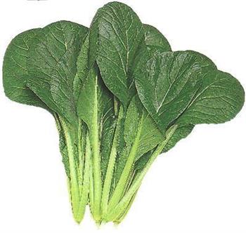 春天吃什么可以减肥呢