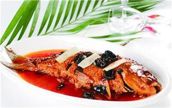 减肥也要吃的肉类有哪些？