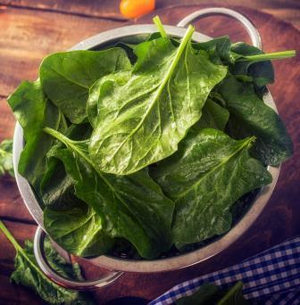 8种苦涩食物能帮你快速减肥 8种苦涩食物能帮你快速减肥