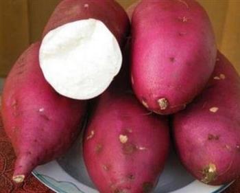正确吃红薯方法 能减肥抗癌防流感