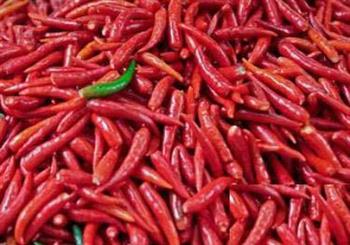 红辣椒的功效与作用_红辣椒的营养分析_适合体质_食用禁忌