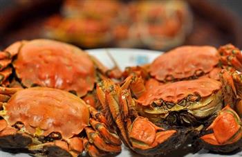 秋季吃螃蟹 美食专家教你怎样吃秋