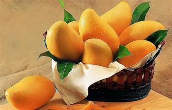6大吃芒果的注意事项 芒果汁可能引发过敏
