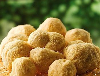 猴头菇的功效与作用_猴头菇的营养价值_猴头菇的适合体质