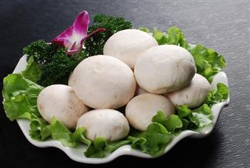口蘑的功效与作用_口蘑的营养价值_口蘑的适合体质