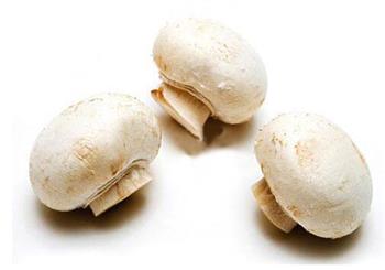 白蘑菇的功效与作用_白蘑菇的营养价值