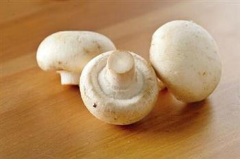 洋菇的营养价值