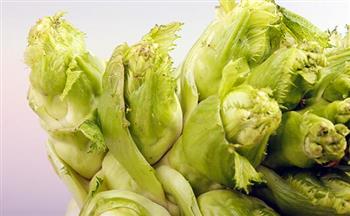 肝癌的食物有哪些？吃什么好