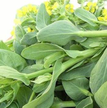 预防贫血的食物有哪些?吃什么好 预防贫血的食物有哪些?吃什么好