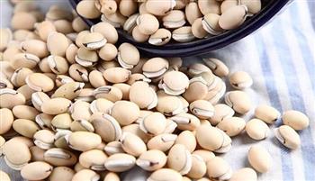 白扁豆的功效与作用_营养价值_适合体质_食用禁忌_适宜人群_药用价值