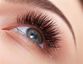 鱼专家们教你怎么买鱼吃鱼