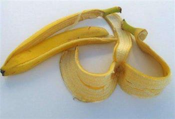 香蕉皮净化作用