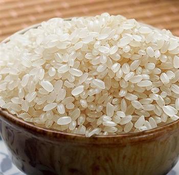粳米的功效与作用_粳米的营养价值