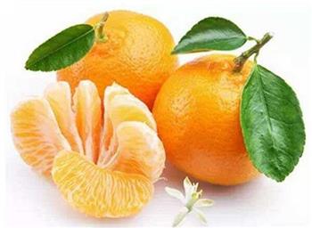 橘子一身都是宝 开胃止咳化痰少不了