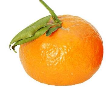 橘子浑身上下都是“宝”