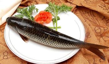 吃鱼有讲究 多吃草鱼有助预防心血管病